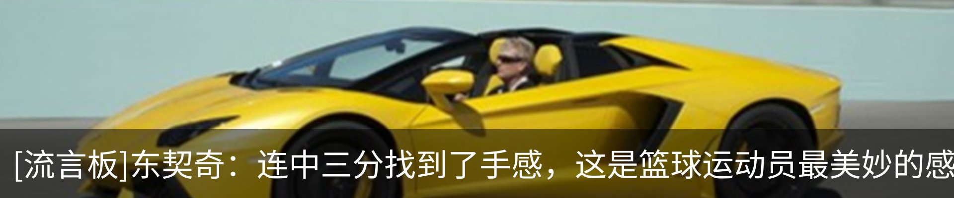 新闻动态